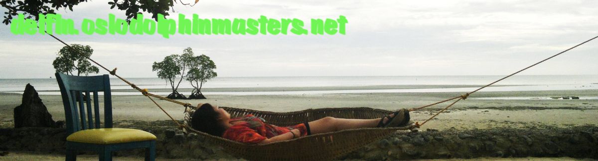 delfin.oslodolphinmasters.net